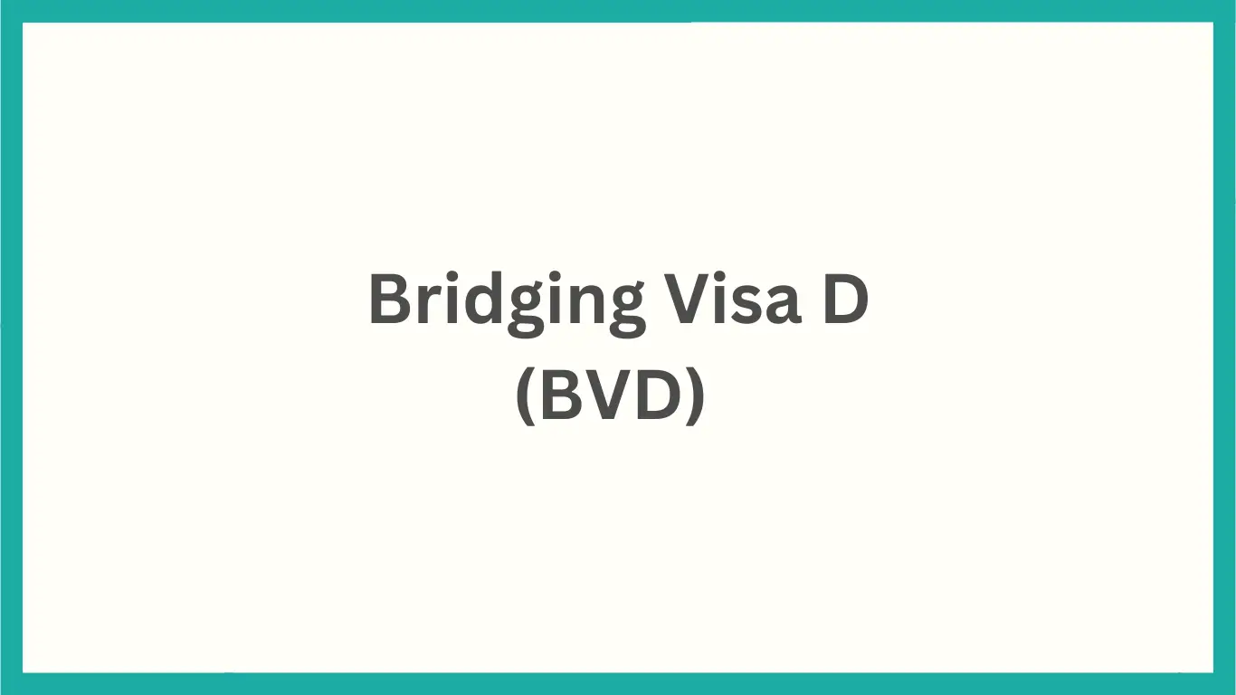 Bridging Visa D